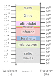 Terahertz spectrum
