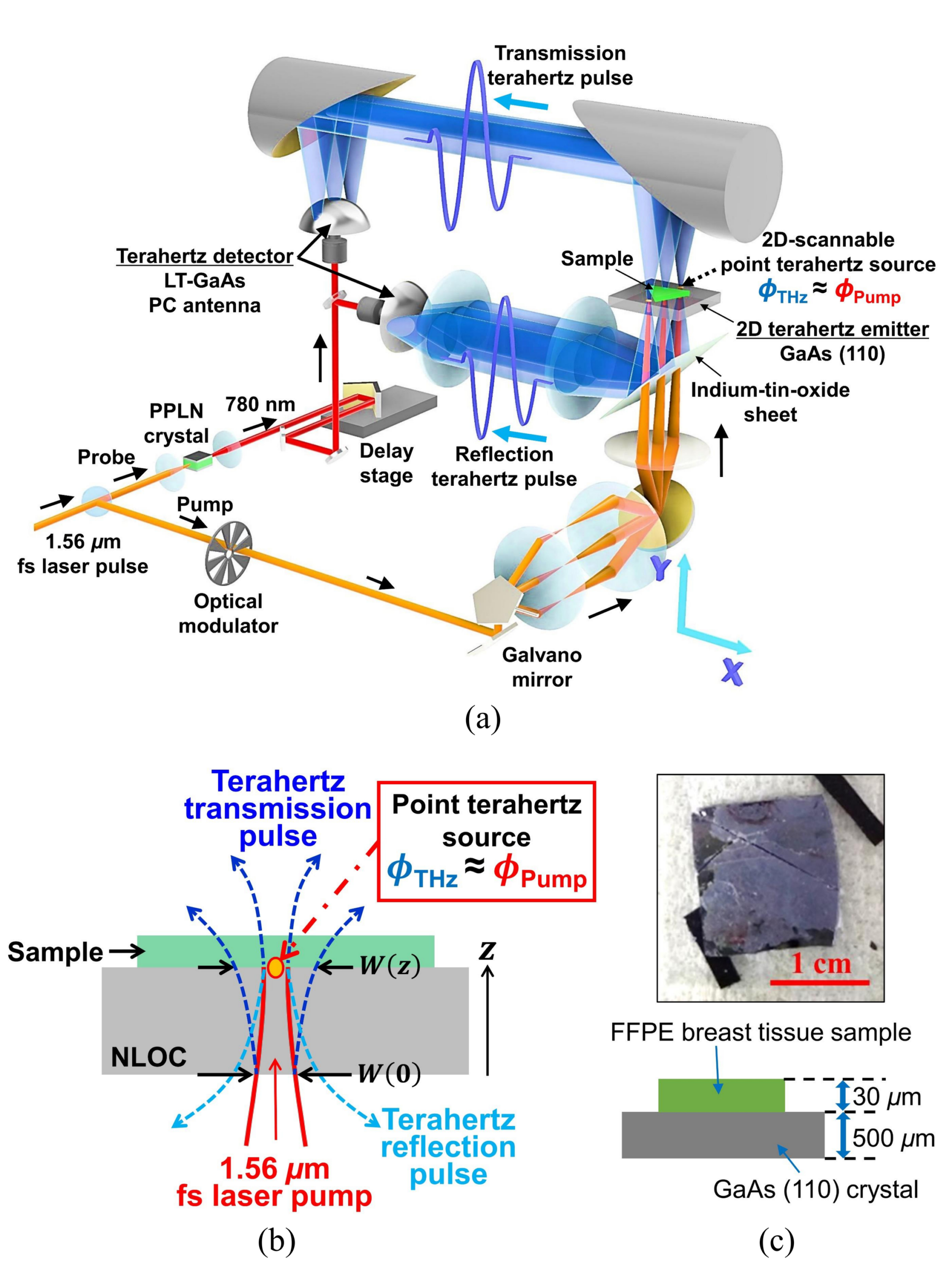 Research figure associated with Scanning point terahertz source microscopy of unstained comedo ductal carcinoma in situ