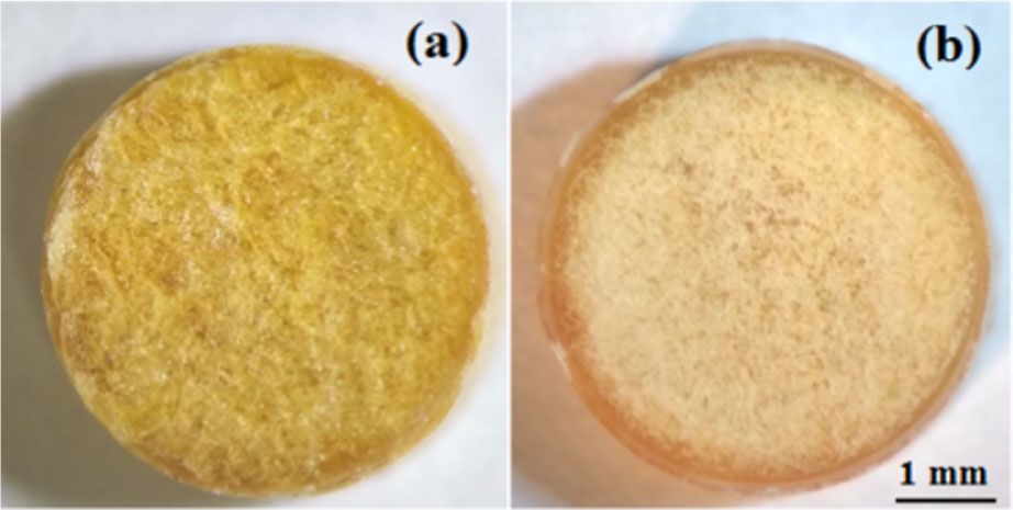 Research figure 2 associated with Fast Terahertz Spectroscopic Holographic Assessment of Optical Properties of Diabetic Blood Plasma