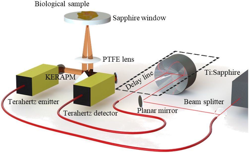 Research figure associated with Terahertz refractive index-based morphological dilation for breast carcinoma delineation